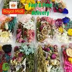 Real Dried Flower For DIY Art Craft Epoxy Resin Pendant Jewellery Making
