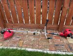Einhell strimmer GC-BC 30/1 AS Petrol 2-Stroke 29.7cc 1kW String Trimmer + Guard