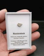 Muonionalusta meteorite slice - space rock widmanstatten pattern Sweden 