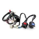 Motorcycle Electrical Main Wire Harness w Handlebar Switch Kit for WY125