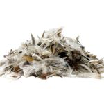 Loose Filling Natural Duck Feather Stuffing For Cushion Sofa  and Teddy Fillers
