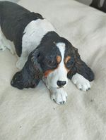 Danbury mint tri colour  king Charles spaniel Ann Richmond figure