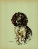 Vintage Springer Spaniel Print Wall Art Decor 1938 K Barker Illustration 6259e