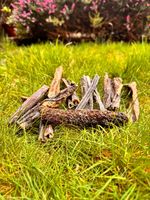 1 kg Buffalo Beef  Tripe Bully Sticks 100% Natural Dog Treats PREMIUM QUALITY