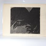 Japanese Woodblock Print Akiyama Iwao Habataki crow Signed Numbered Large Print