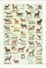DOG CANINE BULLDOG ALSATION CHIHUAHUA CHART STAMP SHEETLET RUSSELL MNH (NL275)