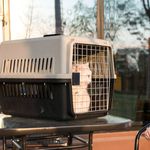 Cat Travel Cage - Portable Air Box Transport Crate for Puppy Carrying Basket