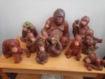 Orangutan Figurines (Whole Set) Monkeys .weighing 🐒 between 500g to 10kg