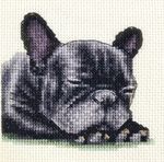 BLACK FRENCH BULLDOG dog puppy Full cross stitch kit  Fido Stitch Studio