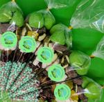 Personalised Pre Filled Dinosaur theme Sweet Cones Large Kids Party Bags Animal