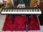 Roland FP10 + Stand + Roland Pedal - 88 Key Digital Piano Keyboard / Hardly used