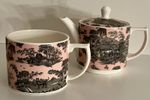 Spode Zoological Gardens Teapot And Teacup 