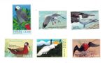 Sierra Leone 2000 - Birds - Set of 6 Stamps - Scott #2270-1 - MNH