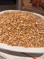 20kg Butter/Oloyin Beans. Clean Easy/Soft Cook. Best Price