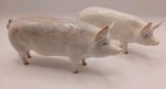 BESWICK Pigs Sow/Boar Pair Figures CH. WALL CHAMPION BOY 53 & CH. WALL QUEEN 40