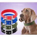 Durable Adjustable Nylon Dog Collar for Small & Large Breeds