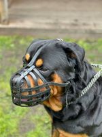 Leather Dog Muzzle | fits Rottweiler & Mastiff |  for all short snout dogs