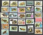 TURTLES TORTOISE  25 ALL DIFFERENT COLLECTION    28/11/24  NATURE