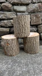 Rustic small ash tree stumps Woodturning Crafting Arts⭐🪵