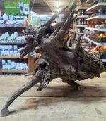 Large Corbo Root Aquarium Bogwood Vivarium Root Driftwood Catfish Cave