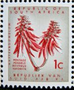 SOUTH AFRICA 1967 SGA239 1c.  - KAFFERBOOM FLOWER - MNH