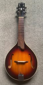 Gold Tone A Style GM6 Manditar (6 String Mandolin) -Tobacco Sunburst