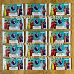 Panini Adrenalyn XL 2024: New Packets of cards and FREE Foil cards. 23-24 Packs