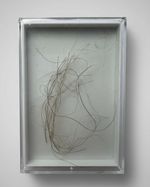 Mammuthus Primiginus (Woolly Mammoth) HAIR.  Siberian Permafrost find - Russia