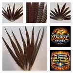 Cock Pheasant Tail Feathers 20-30 30-40 40-50 50-65cm Fly Tying Arts & Crafts