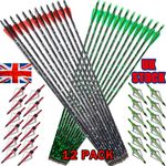 Archery Carbon Arrows 30" SP500 3" Vanes Recurve Compound Bow Hunting Target UK