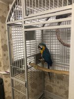 XL Metal Parrot Cage
