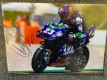 ENEA BASTIANINI HAND SIGNED A4 PHOTO AVINTIA GRESINI MOTOGP