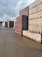 Bricks for Sale – Large Quantities 🧱 Qty 400