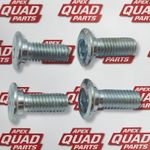 Yamaha Raptor 250 2008-2013   Disc Bolt X4