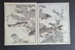 Pair of antique (c. 1908) Japanese woodblock prints - Fish - Kacho Gafu