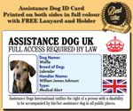 ASSISTANCE DOG UK - SERVICE ID BADGE FOR UNITED KINGDOM GREAT BRITAIN AREA ADi 