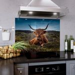 Kitchen Glass Splashback Toughened Cooker ANY SIZE WxH Farm Animal Highland Cow