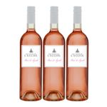 Les Vignes de l'Église Rosé de Syrah 3x75cl – French Rosé Wine | Fresh & Fruity