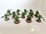 Warhammer 40k Space Marines Kill Team Salamanders Pro Painted angels of death