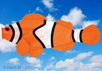 Spirit of Air Clownfish windsock  looks fantastic on a pole