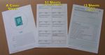 1 Year SFBB 4 Weekly Review Diary Refill 66 Pages Single Side Printed in Colour