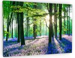 BLUEBELL WOODLAND CANVAS PICTURE PRINT FRAMED WALL ART FRAMED HOME DECOR
