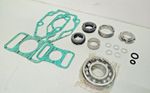 IMO Pump ACE 032N3/L3/K3 NTBP G053 Minor kit/Repair kit - NEW