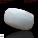 Natural Fire Opal Gemstone 4.00 Cts Oval Spiritual Rough Australia 16x10x3 mm