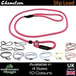 Slip Lead Leash Rope Dog Puppy Pet  No Collar Needed 4sizes 1.2m Strong Nylon