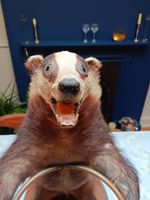 Unusual Taxidermy umbrella walking stick stand