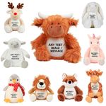 Personalised Teddy Text/Image/Message Soft Toy Boy Girl, Newborn, Birthday