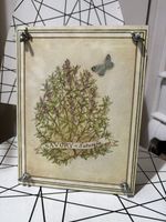 Vintage Flower Press - Savory  Satureja botanical design (s2)