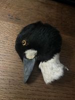 2x Damaged Taxidermy Bird Heads - Golden Eye + Rook