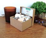 150g Mixed Natural Seashells Crafts Decor Fish Tank Aquarium in Presentation Box